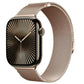 Apple Watch Milanese Metal Band