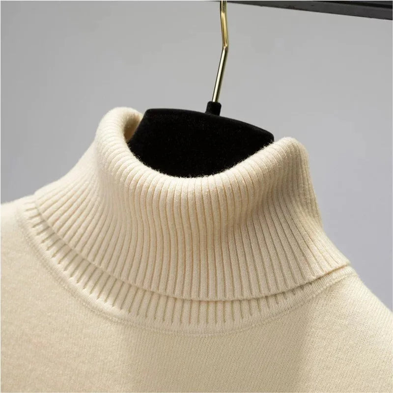 Everyday Elegant Turtleneck Sweater