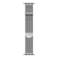 Apple Watch Milanese Metal Band